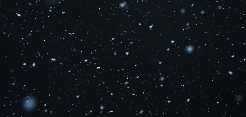 Black Holes and Novae