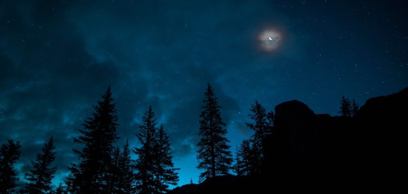 Night Sky Viewing
